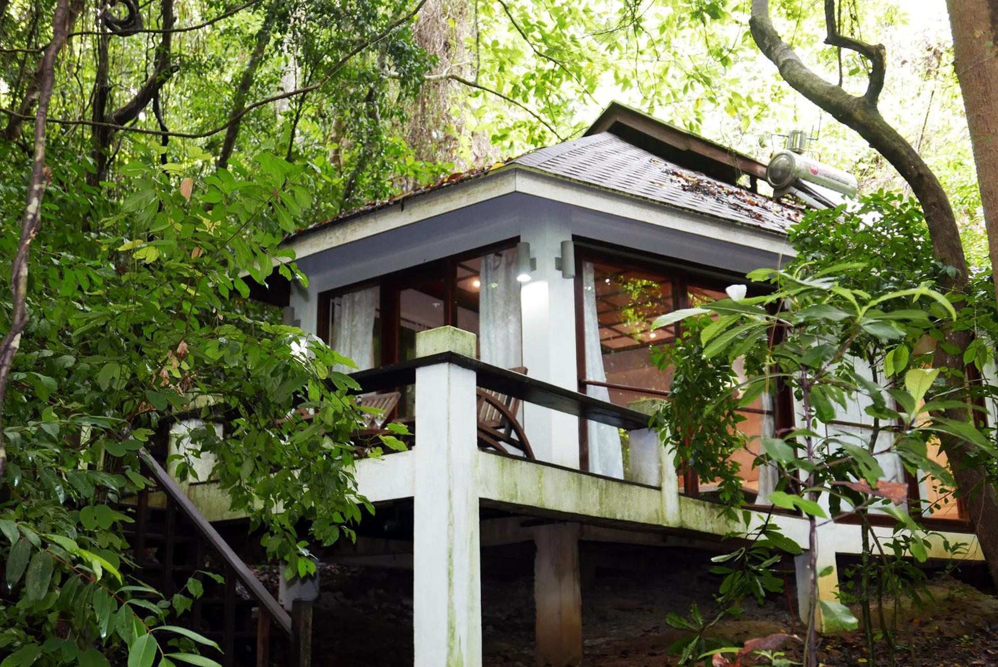 Jungle Cottage,1588329547:JPEG